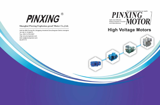 Shanghai Pinxing Explosion-Pression Motor Co., Ltd.